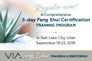 Tina Falk VIA Feng Shui, Certification Program