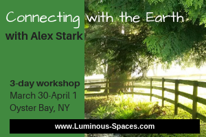 Connecting with the Earth - by Luminous Spaces and Alex Stark