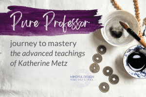 Mindful Design Pure Professor with Katherine Metz