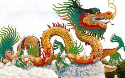 Welcoming the Year of the Wood Dragon 2024, newsletter