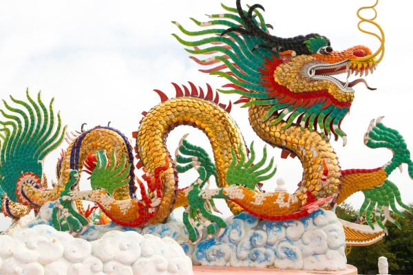 Welcoming the Year of the Wood Dragon 2024, newsletter