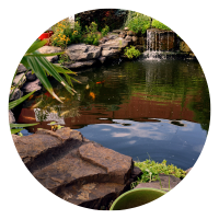 Landscaping and Garden Ponds from Bridget Saraka